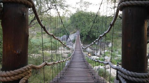 Dulini Moya - Viewing Bridge