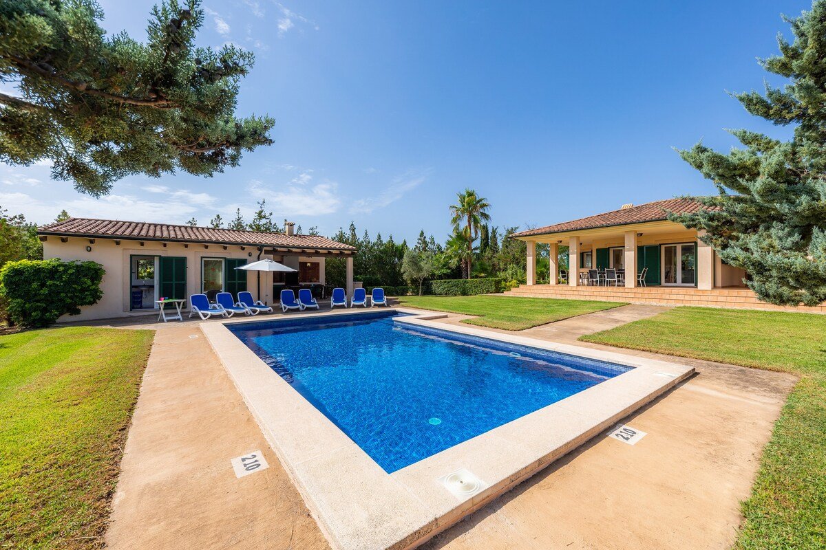 La Vinya del Beato 1950 gallery image 4