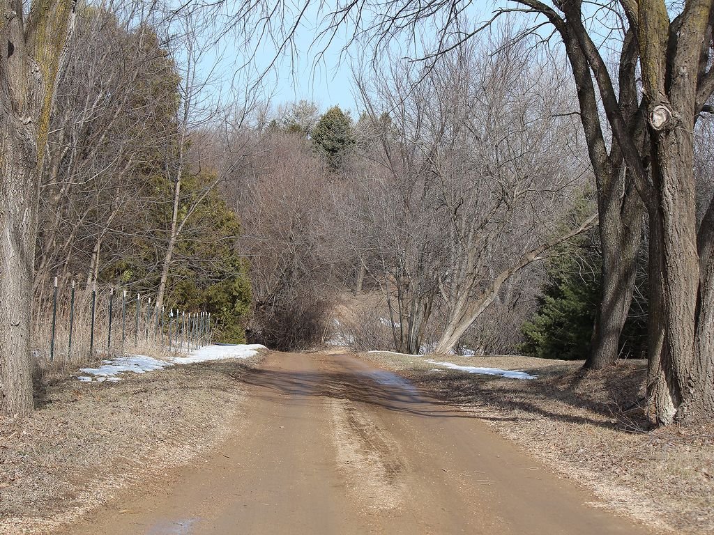 Private Wooded 5 Bedroom Home on 7 Acres gallery image 4