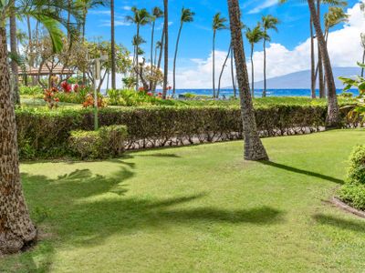 Ka’anapali Ali’i 312 / 2BR+2BA / Groundfloor