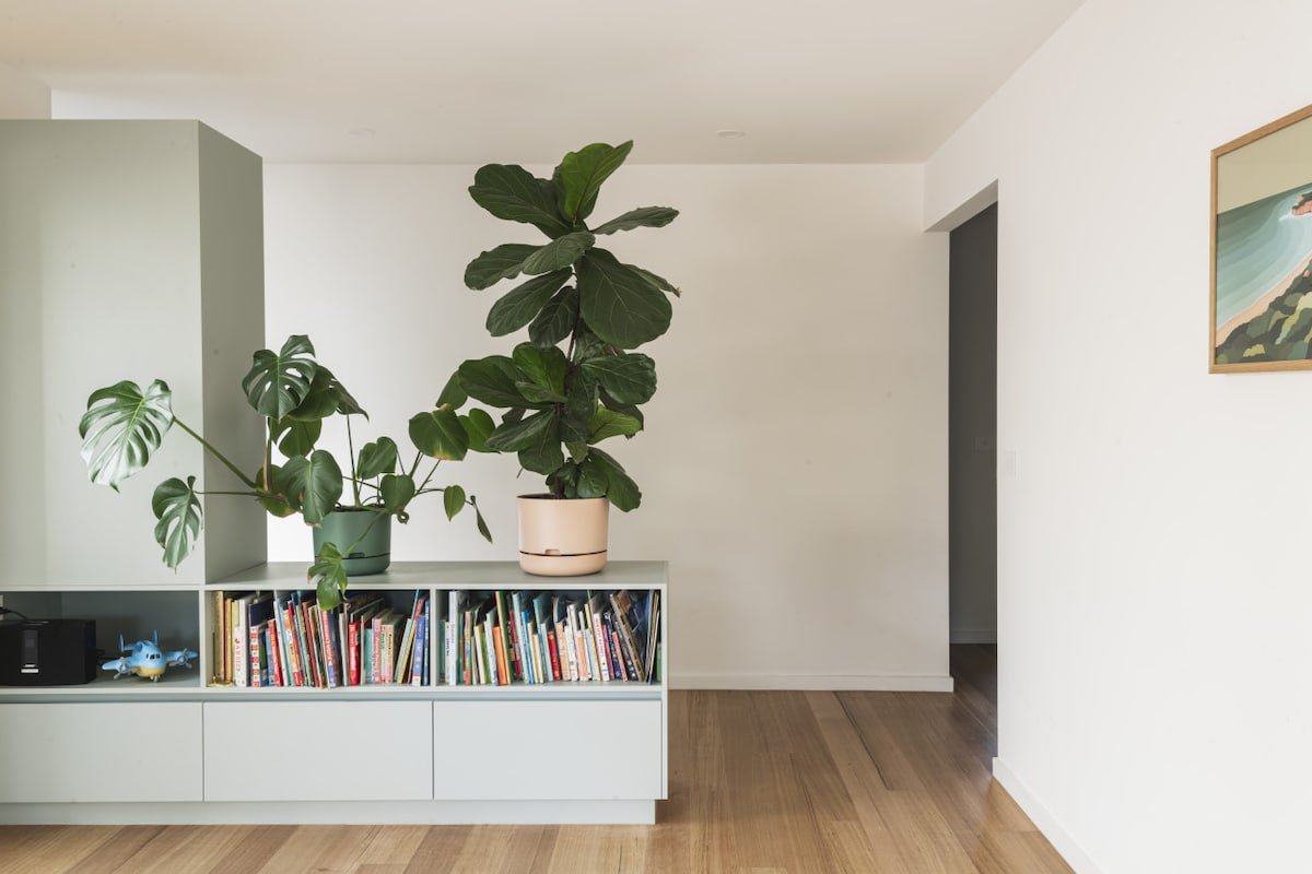 Jan Juc Family Nest gallery image 4