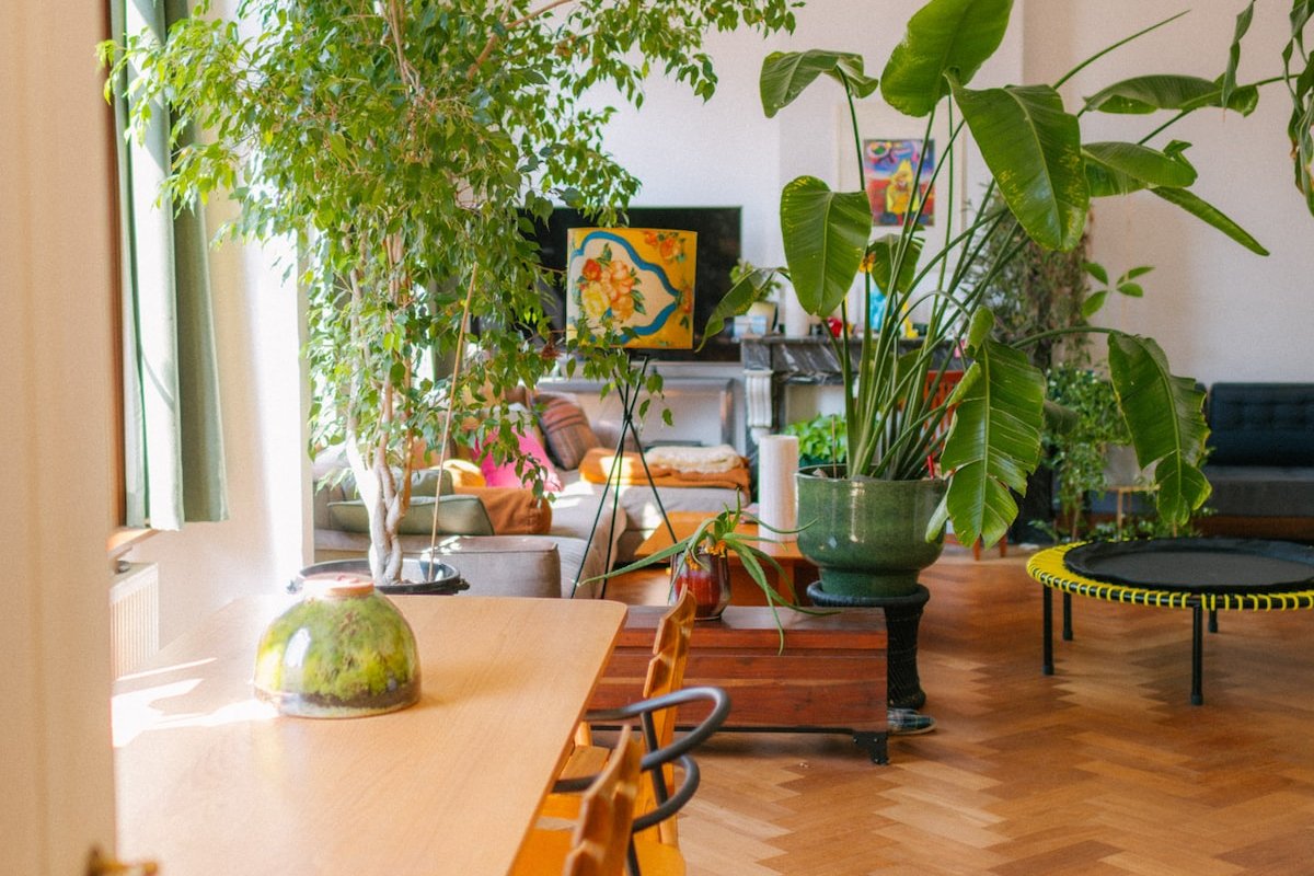 Uniek verblijf in oud stadstheater met dakterras gallery image 2