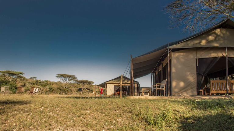 Porini Cheetah Camp - Porini Cheetah Camp