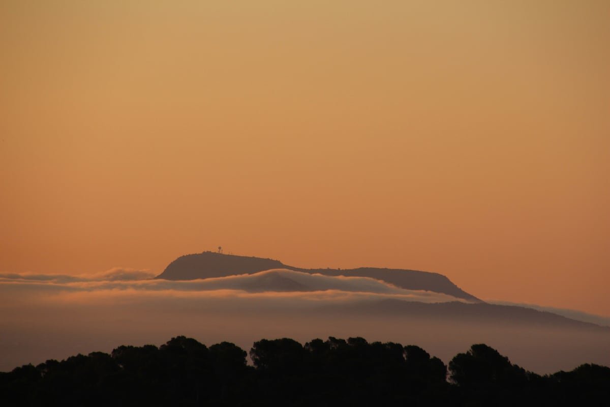 Villa Clausen – Pool Villa – Portals gallery image 5