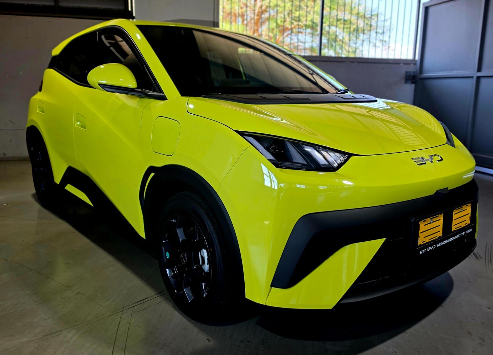 BYD DOLPHIN SURF DYNAMIC for Sale in South Africa