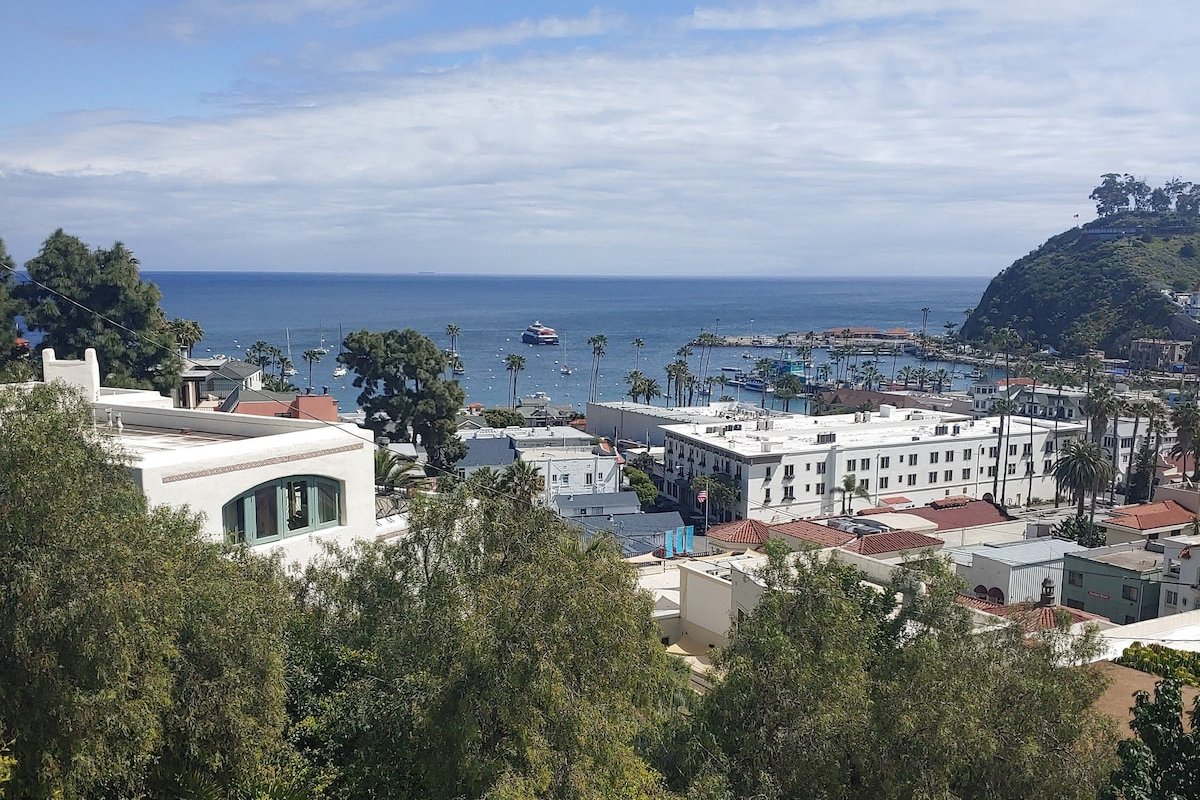 Catalina Island Mid Century Modern Home gallery image 3