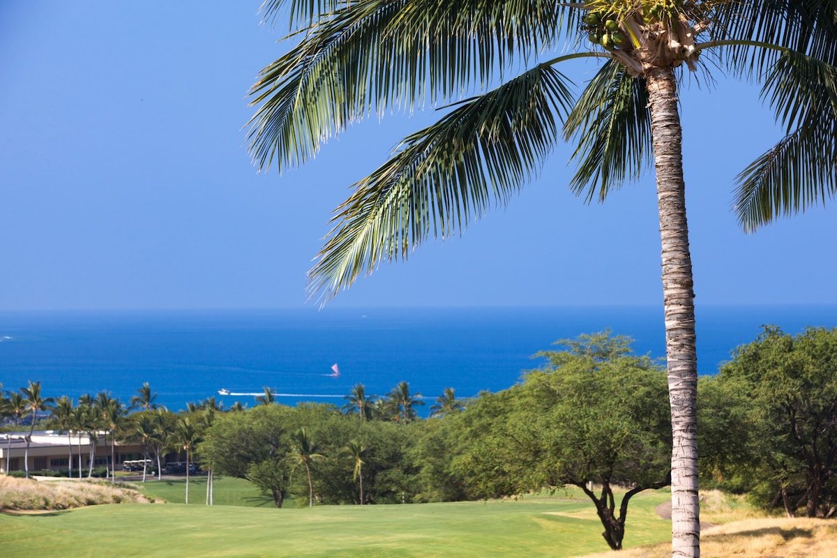 Ocean Views/Private Swimming Pool. Mauna Kea High gallery image 4