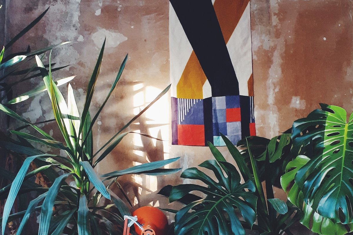 Leafy & Spacious Artists Home. Super Central. gallery image 5