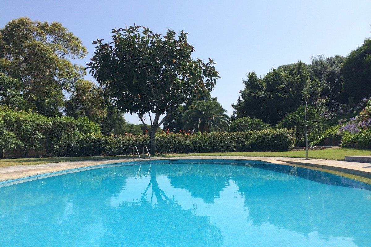 Wooden villa gallery image 2