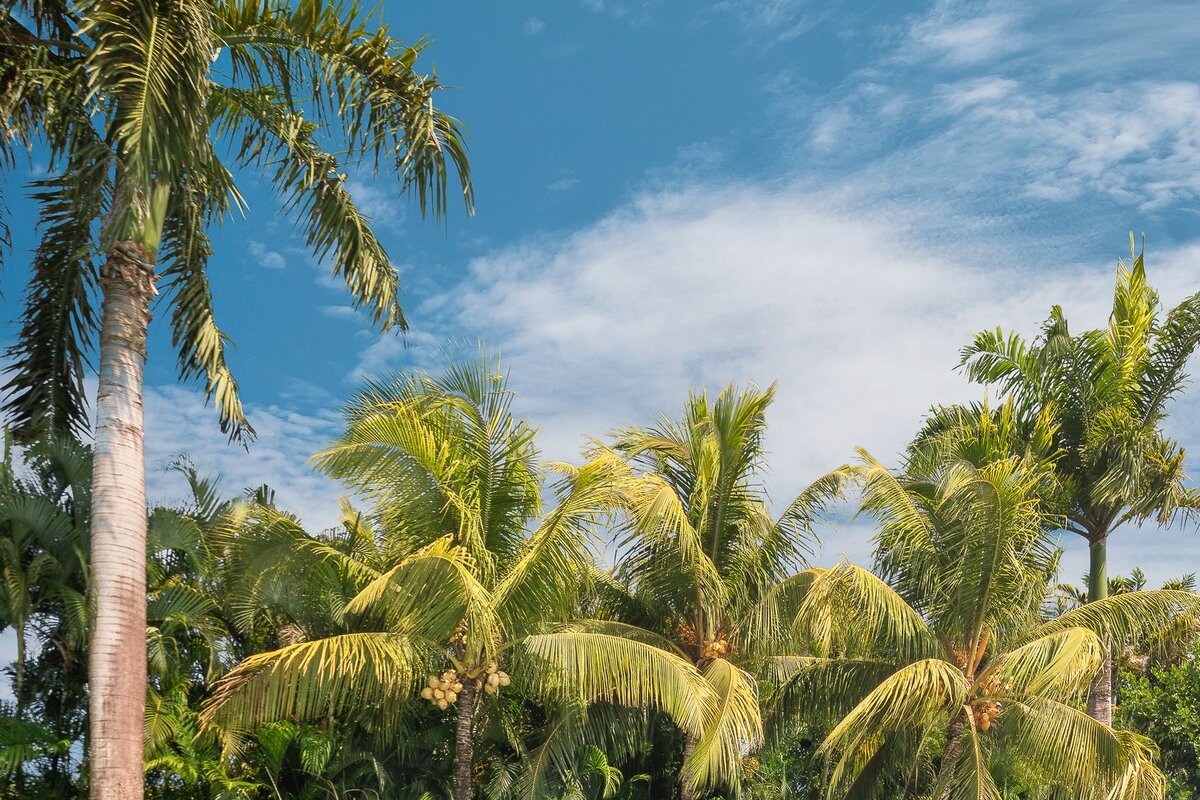 Villa Maji gallery image 5