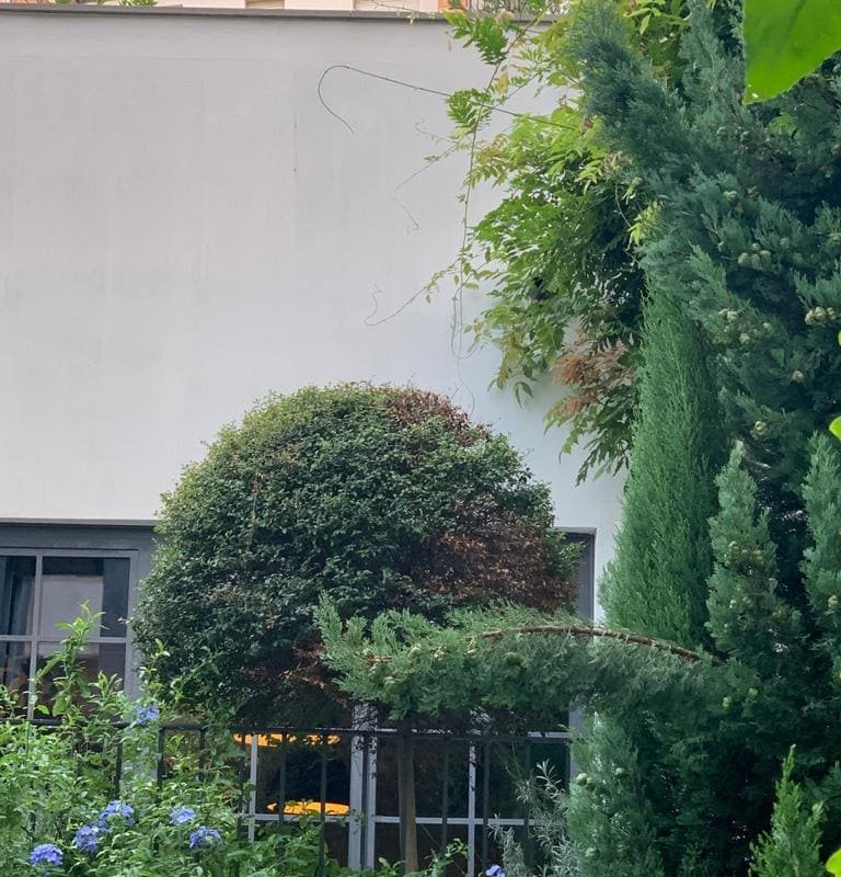 Gorgeous Townhouse in the heart of NoLo gallery image 3