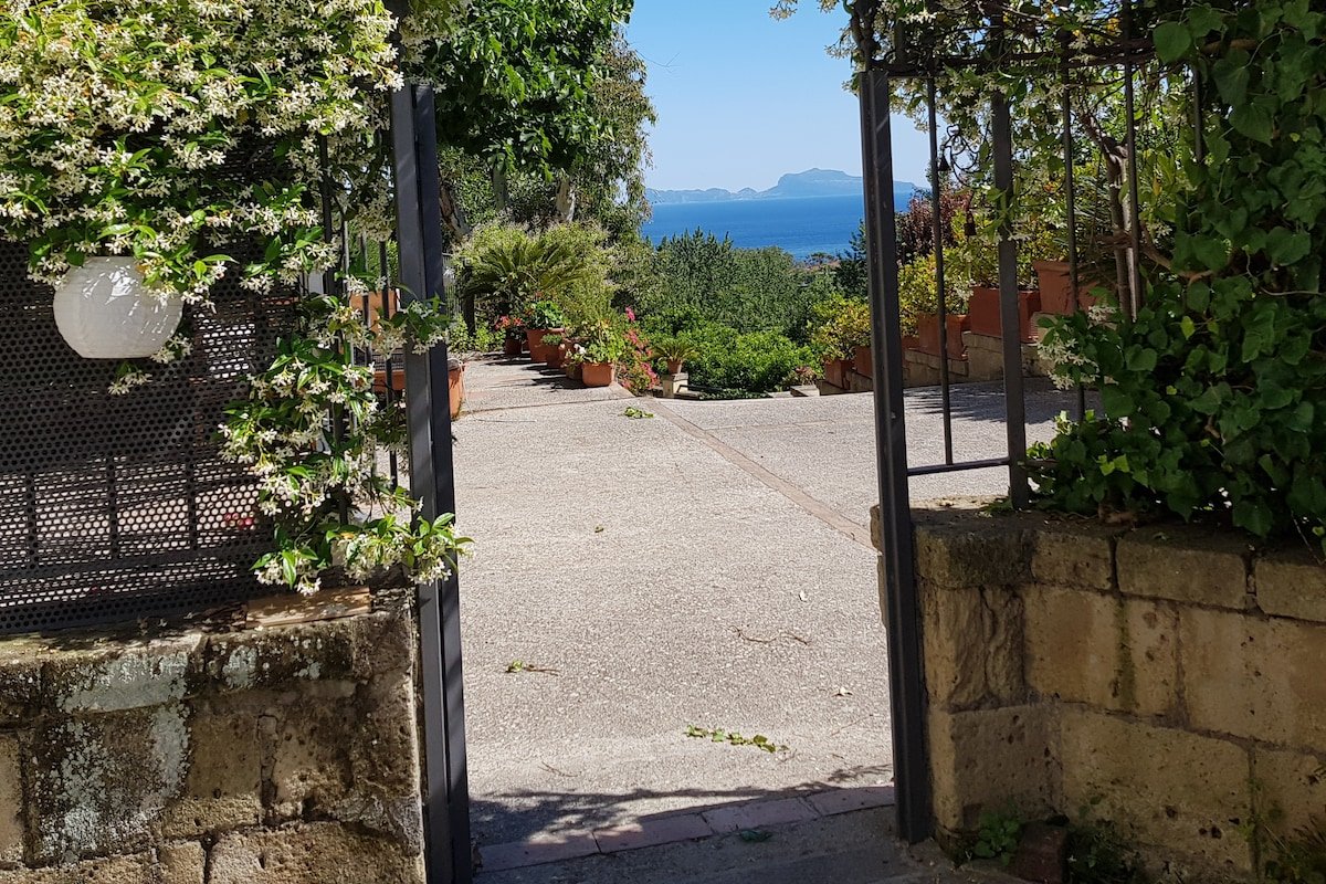 POSILLIPO IN VILLA WITH VIEW GARDEN gallery image 3