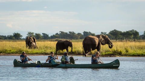 Wilderness Ruckomechi - Canoeing on the Zambezi allows up-close game viewing