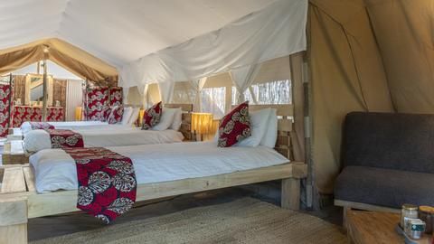 Ensuite Tent Interior