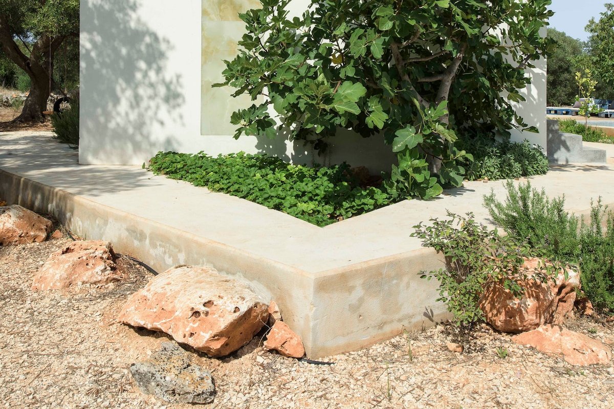 Casa Norah Puglia gallery image 5