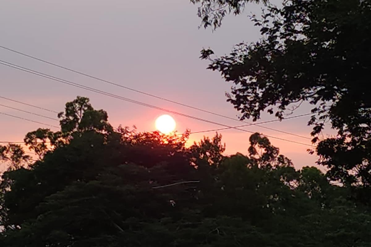 Family-Friendly Suburban Home gallery image 4