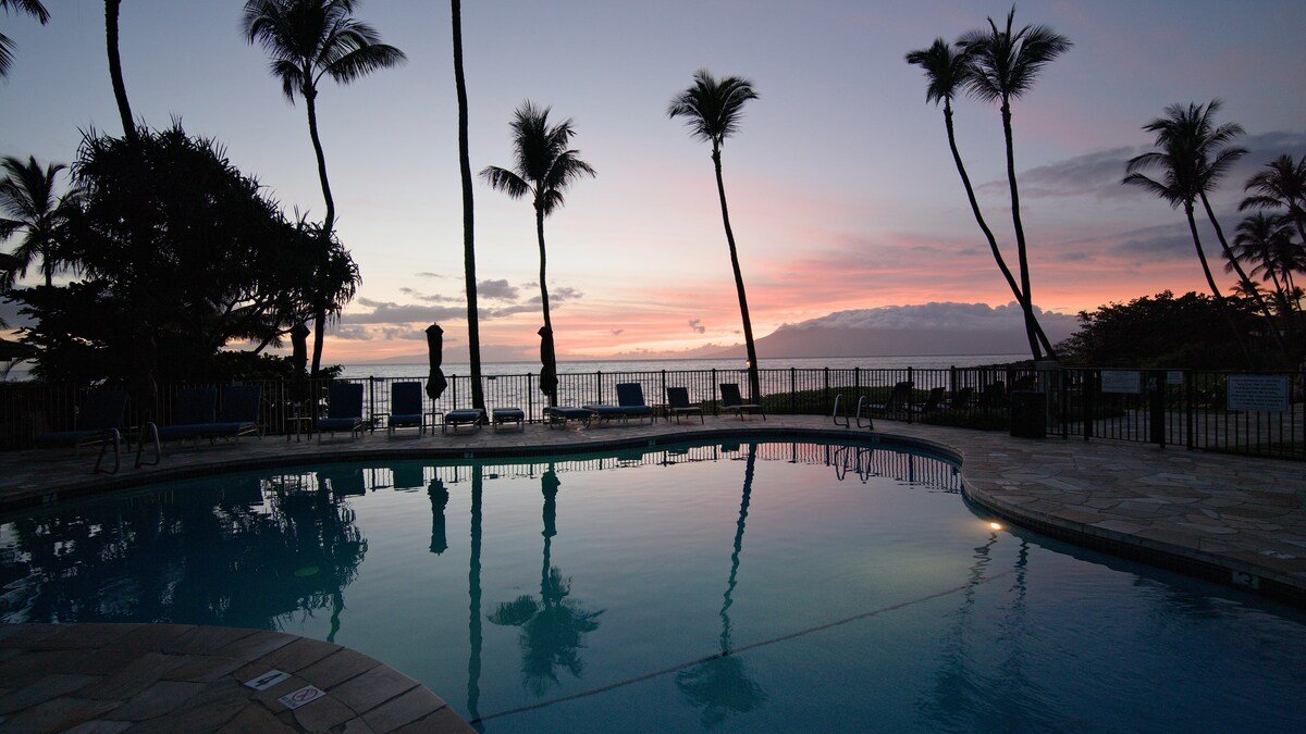 Ocean Views | Polo Beach Club | Groundfloor Condo gallery image 3