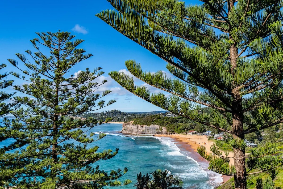 Coastal Luxury at Bilgola – 5BR Home with Studio gallery image 5