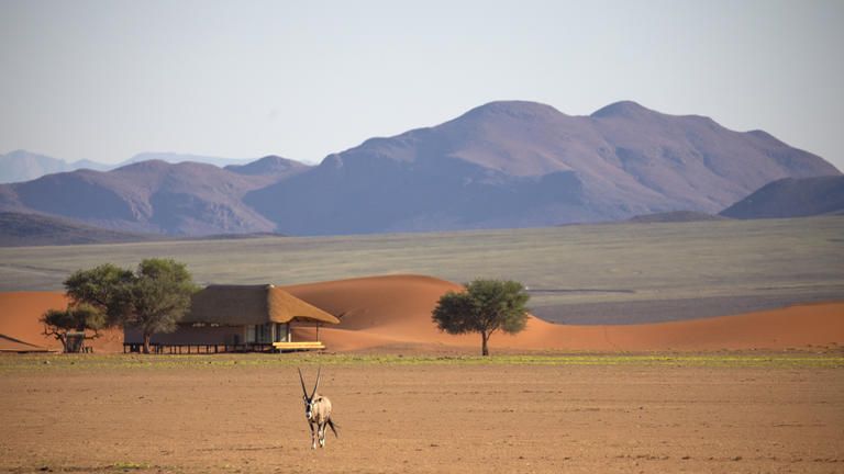 Kwessi Dunes Family