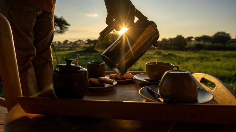 Conserve Safari Tarangire Safari Suite