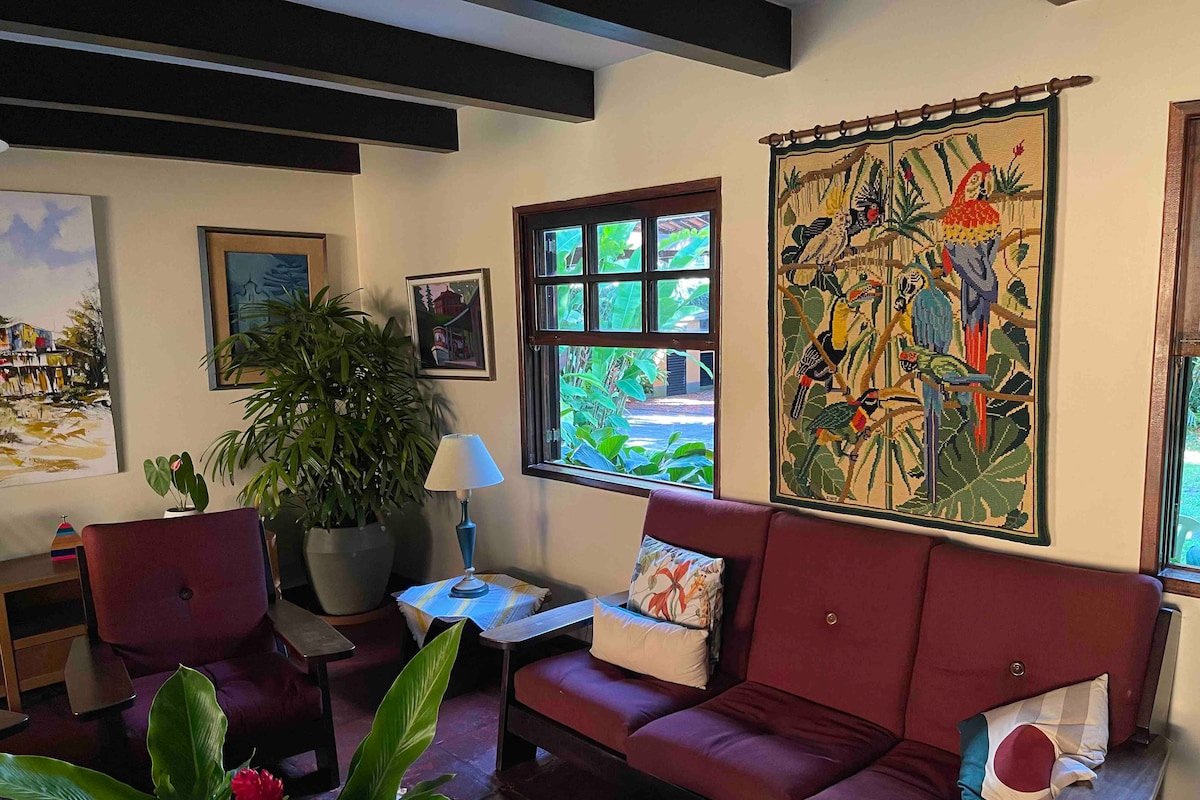 Tropical sun filled house & pool gallery image 2