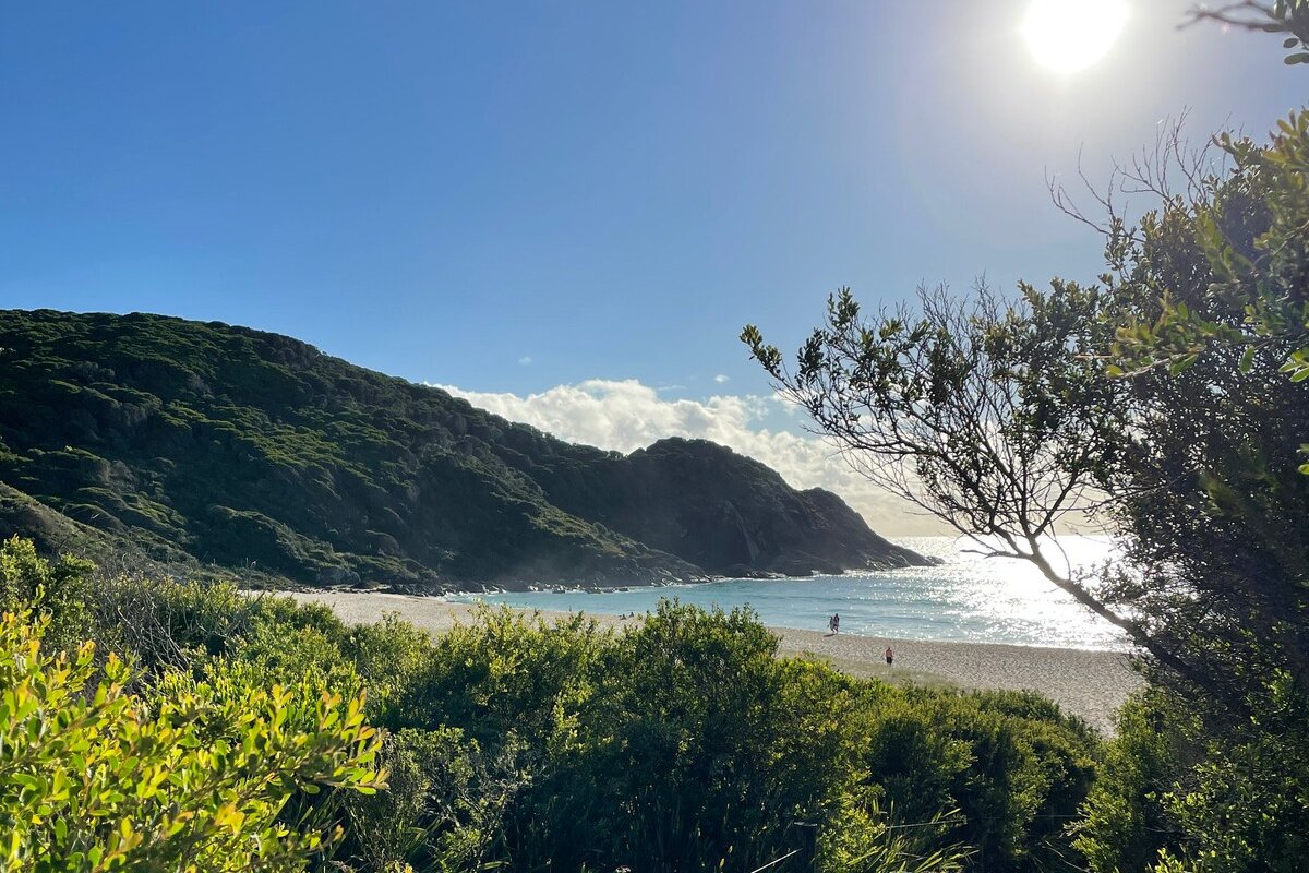 HIDE AWAY | Relax poolside & walk to Lizzie Beach gallery image 5