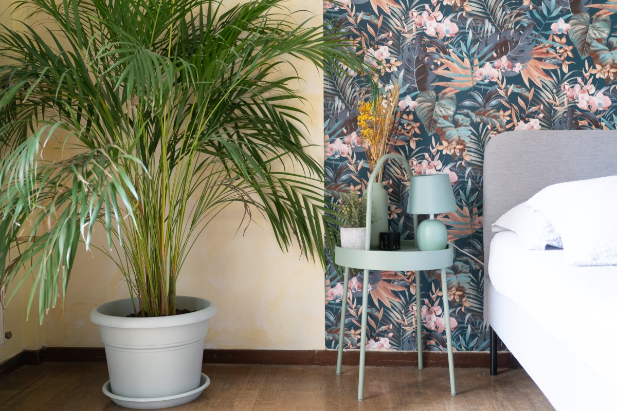 Casa Lya e Seve (funicolare)