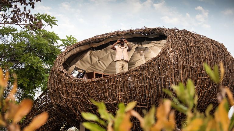 Exterior nest