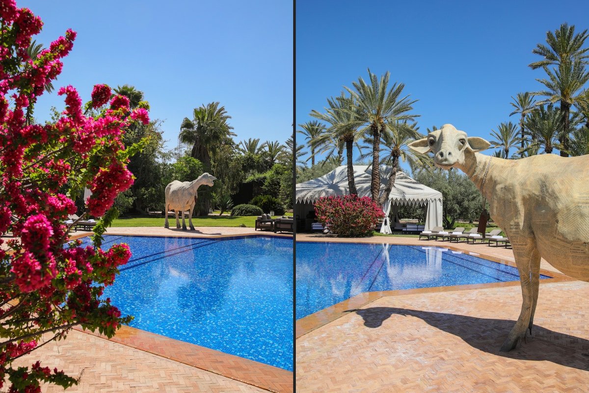 Dar El Sadaka gallery image 4