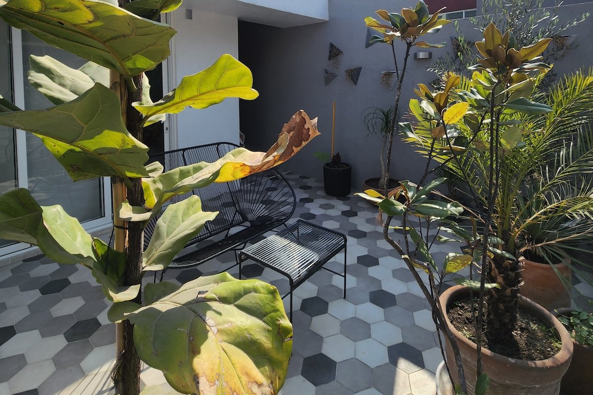 Hermosa Casa Azul en el corazón de la colonia Roma gallery image 5