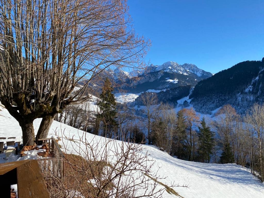 Heidi Chalet Alps – Unique Experience – Authentic gallery image 3