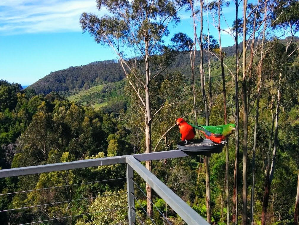 Hillside House gallery image 5