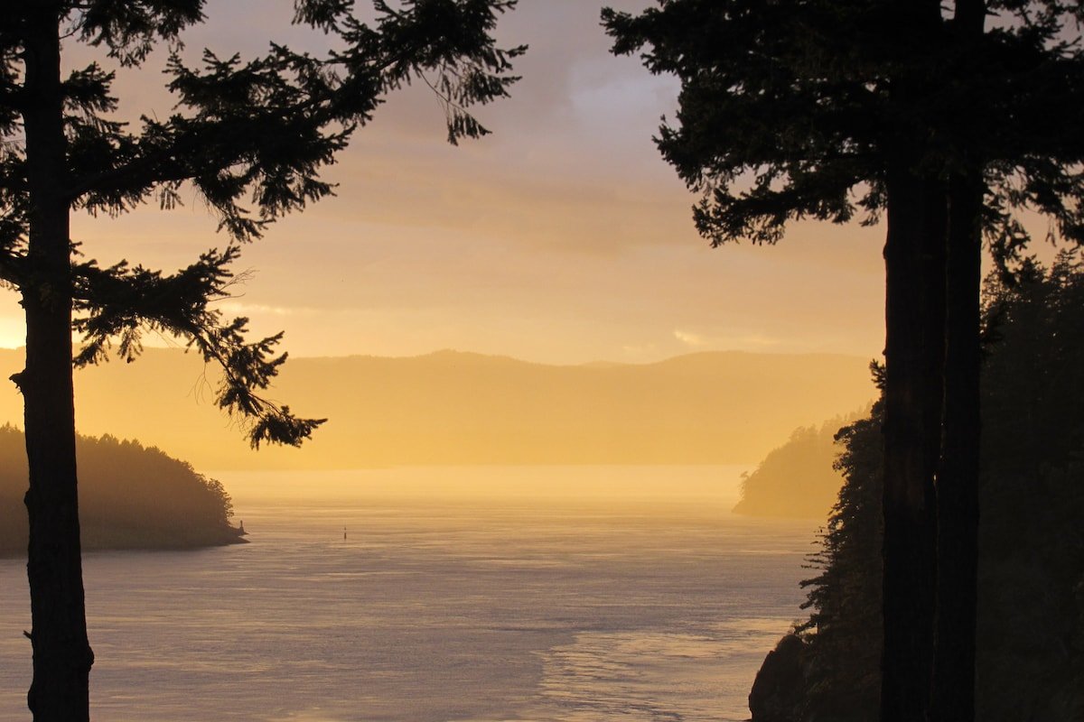 InTheBluff – Galiano Island’s Oceanside Log House gallery image 5