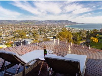 Seabird with a Seaview!