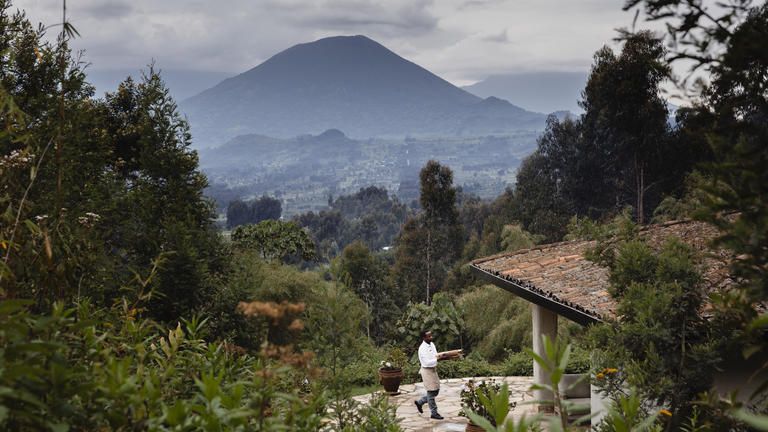 Wilderness Sabyinyo - The volcanoes of the Virungas create a cinematic backdrop to this pioneering community-owned lodge.