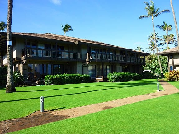 Oceanfront with beach and pool gallery image 3