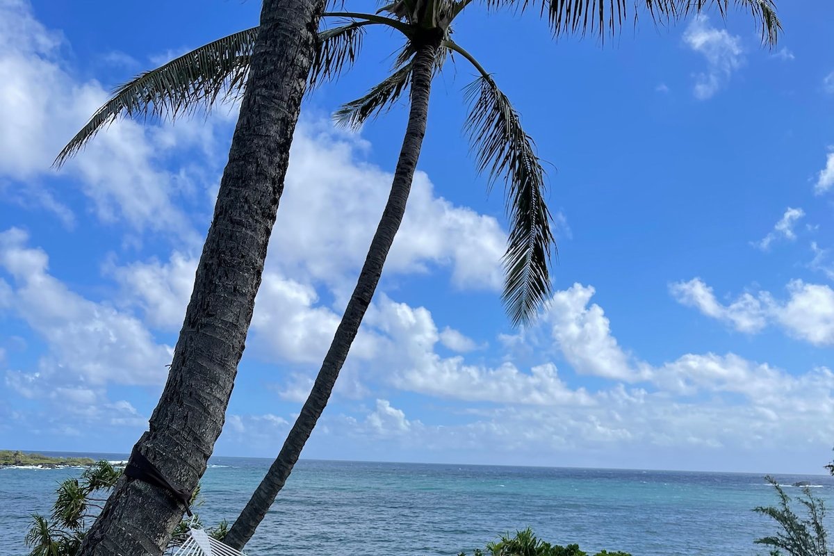 Hana Maui Luxe Elua Cottage gallery image 2