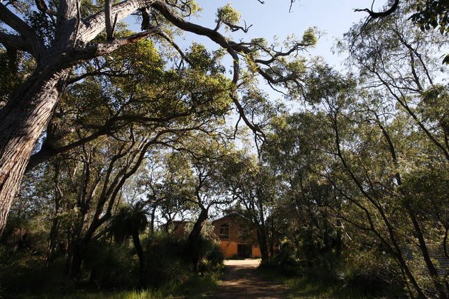 Wilderness By The Sea- Private bush retreat & SPA gallery image 4