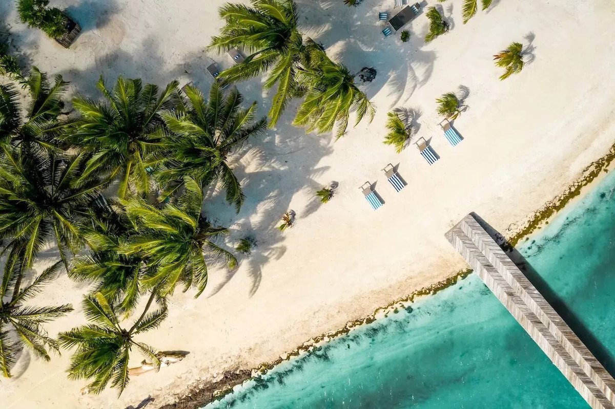 Quiet Oceanfront Private Estate by ALOM gallery image 2