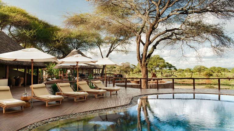 Swala Camp, an A&K Sanctuary photo