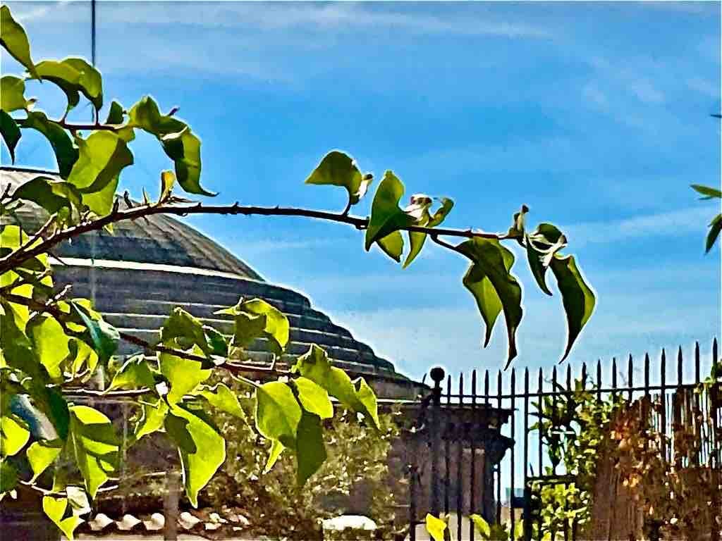 Attico con due terrazze al Pantheon, Roma gallery image 4