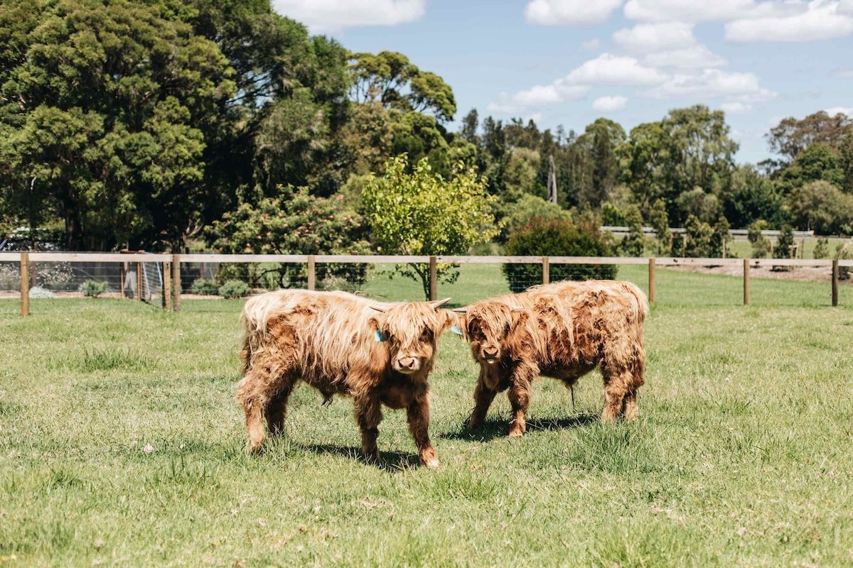 Moraea Farm, Berry – by Linnaeus Collection gallery image 3