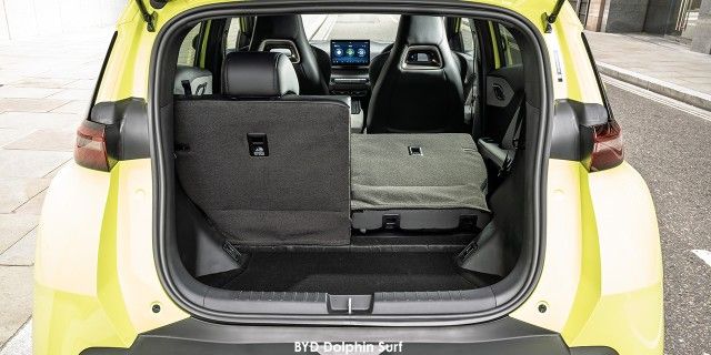 BYD DOLPHIN SURF DYNAMIC - 13 