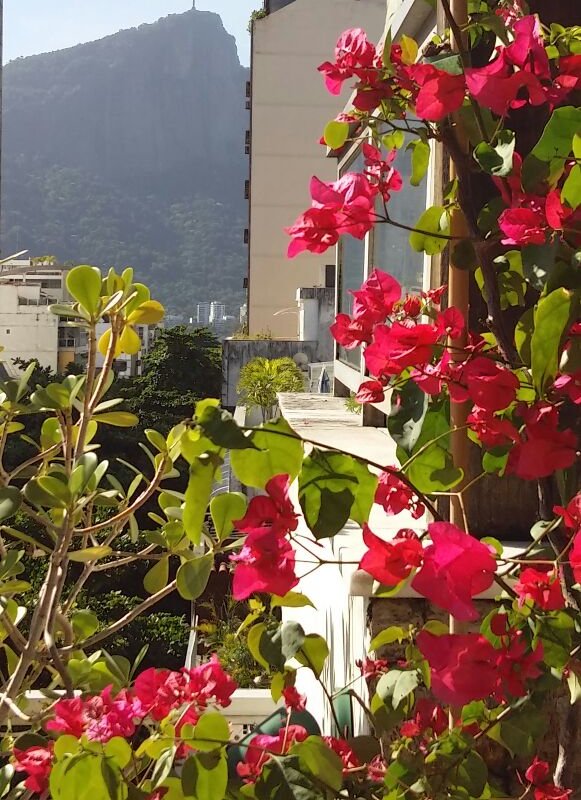 Spacious Penthouse in Ipanema gallery image 4