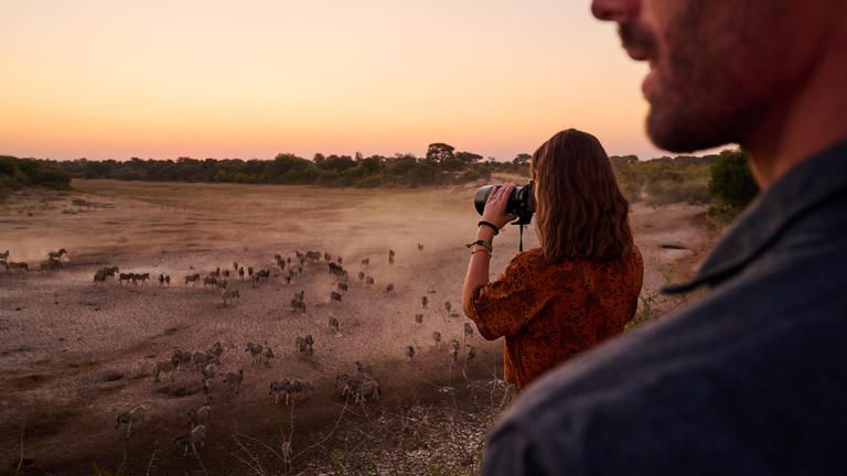 Photographic Hide