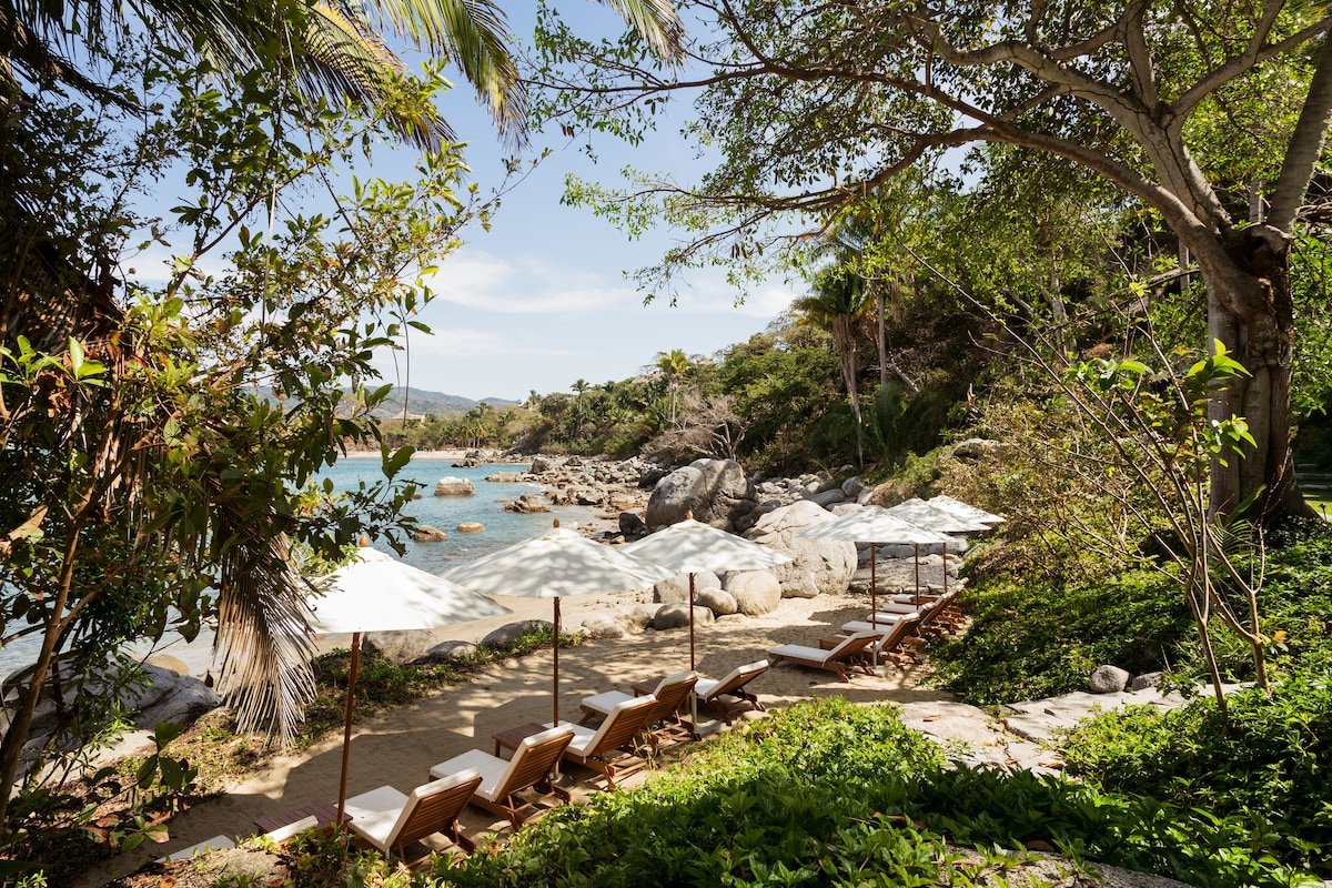 Tree House gallery image 3