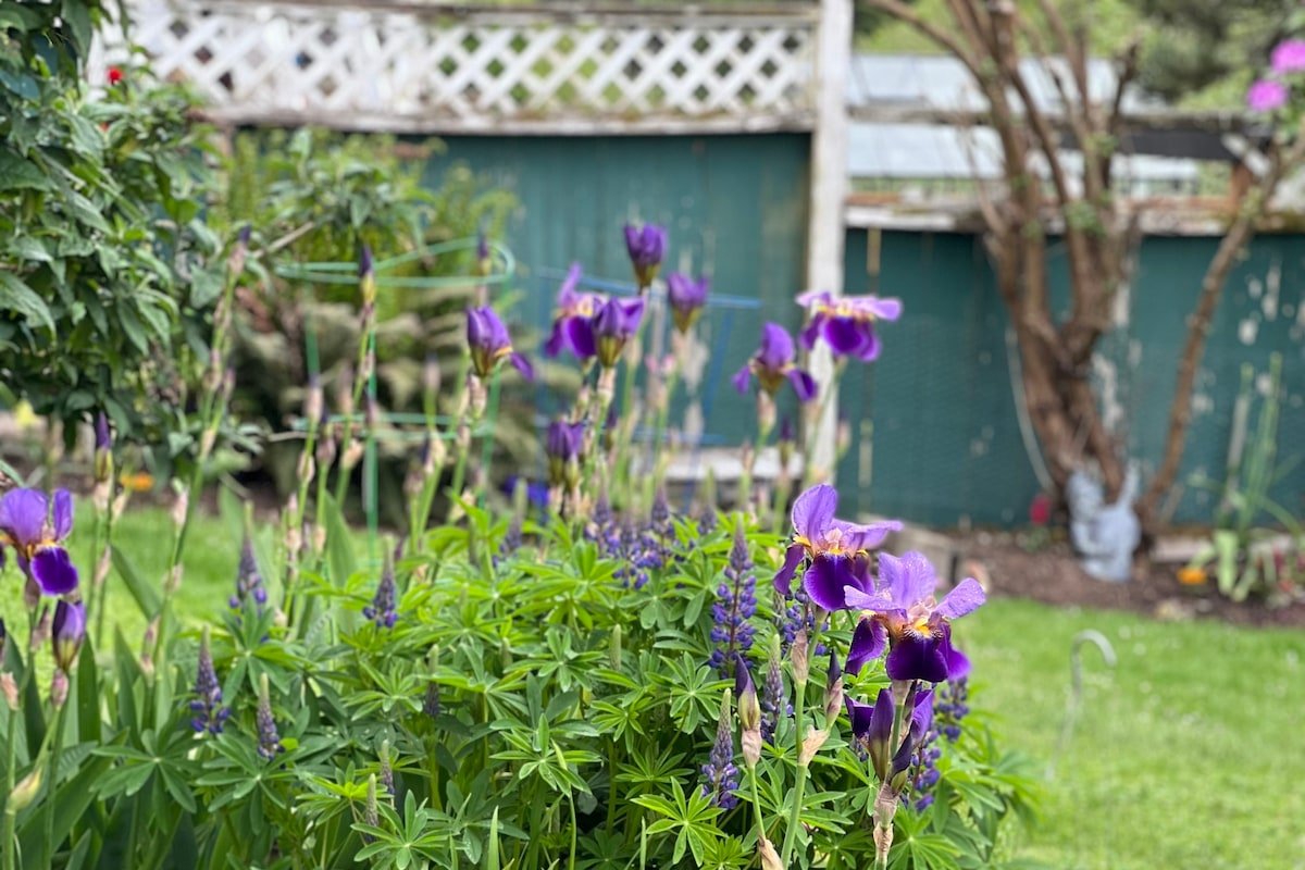 Bright and Spacious / On Quiet Nature Sanctuary gallery image 5
