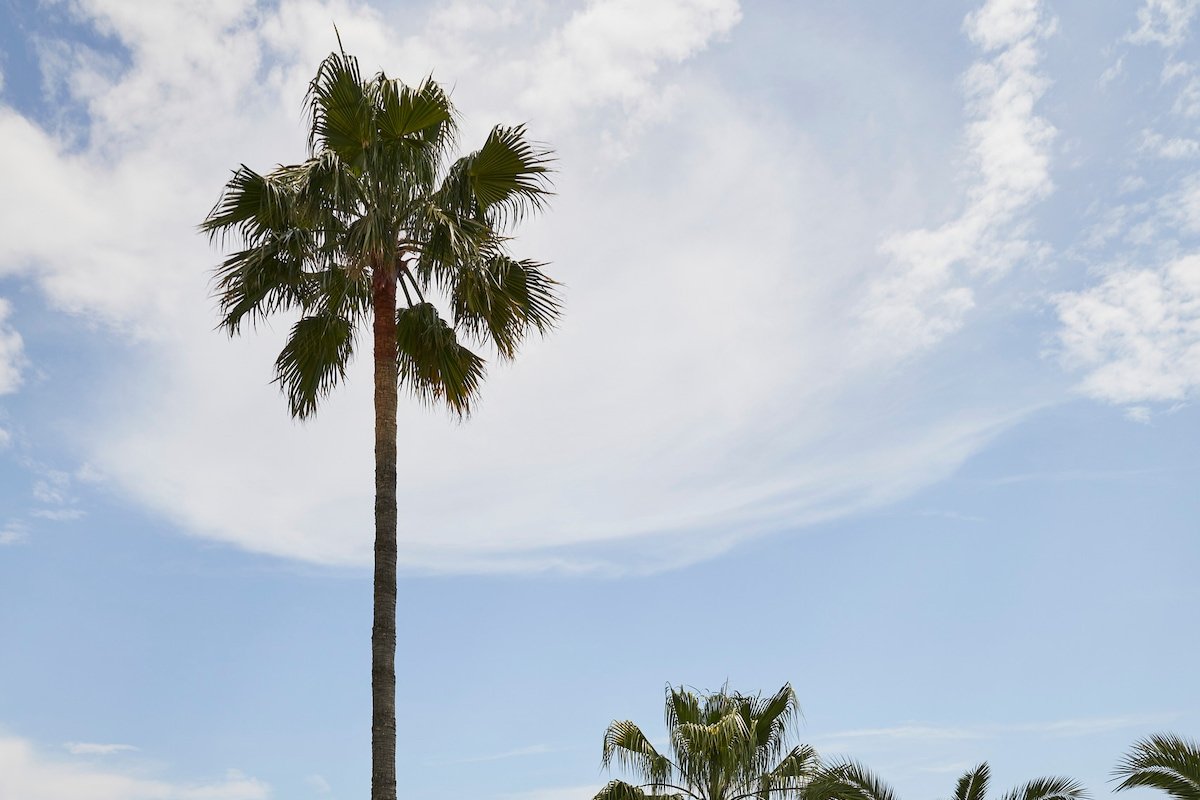 Villa Maxima gallery image 3