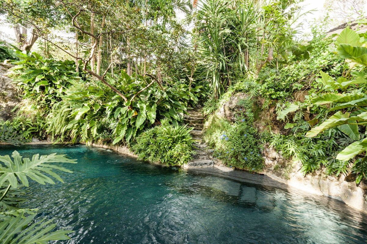 Fustic House gallery image 3