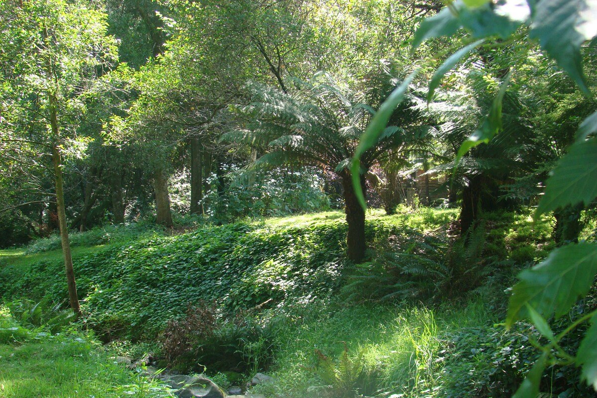 Riverbank Cottage Allenvale gallery image 4